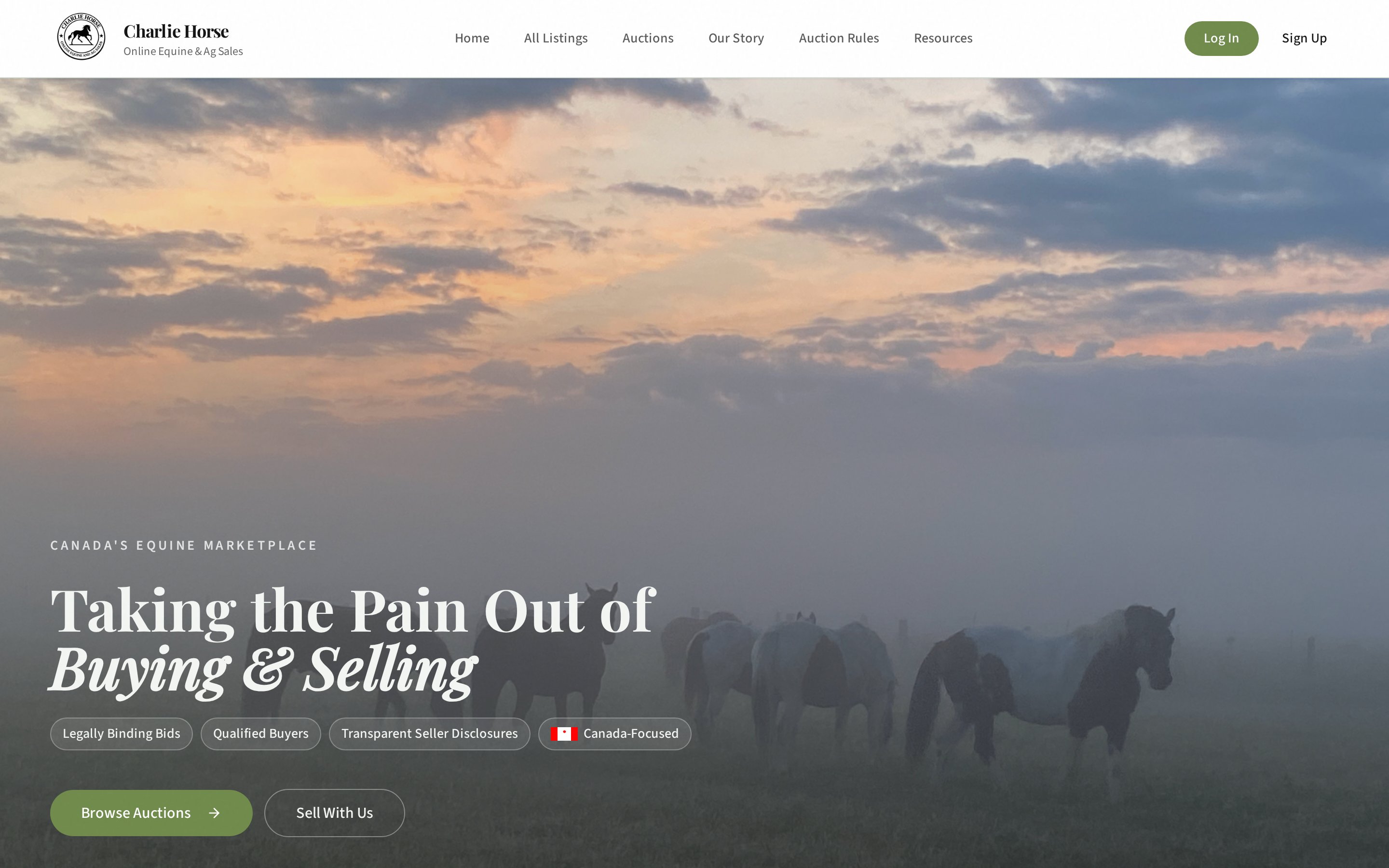 Charlie Horse Sales desktop website designed and built by Algorank